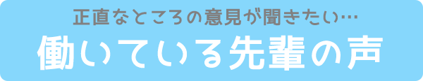 正直なところの話が聞きたい…働いている先輩の声